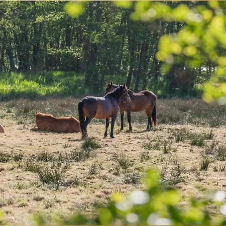 Διαμέρισμα 11 